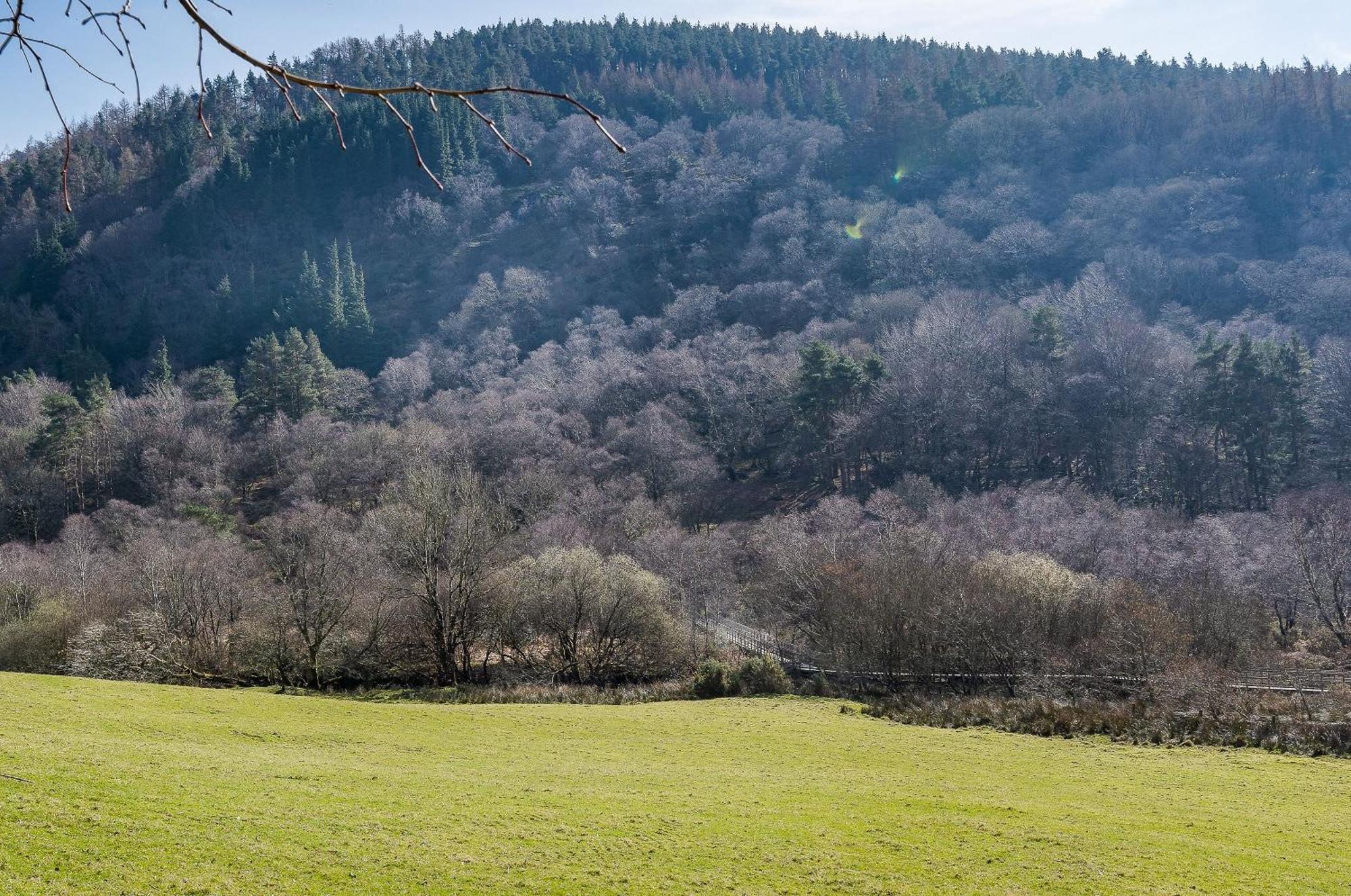 לארה Glendalough International Youth Hostel מראה חיצוני תמונה
