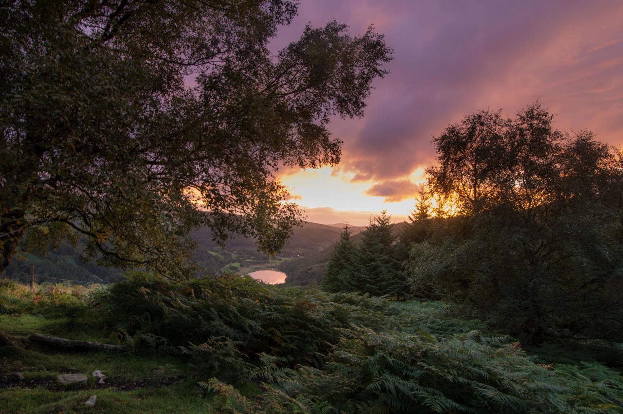לארה Glendalough International Youth Hostel מראה חיצוני תמונה